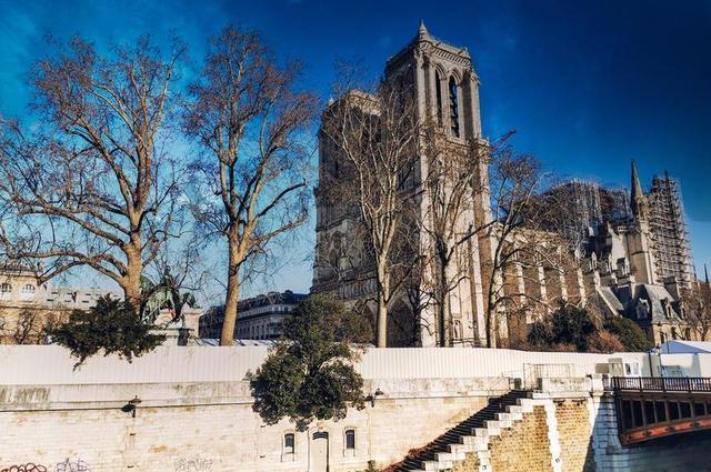 Cathédrale Notre-Dame de Paris