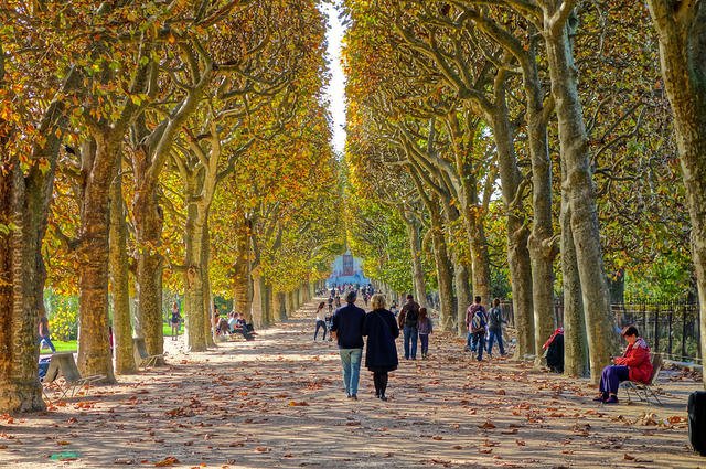 Falcon® Photography / Flickr / CC-BY-SA 3.0 Jardin des Plantes