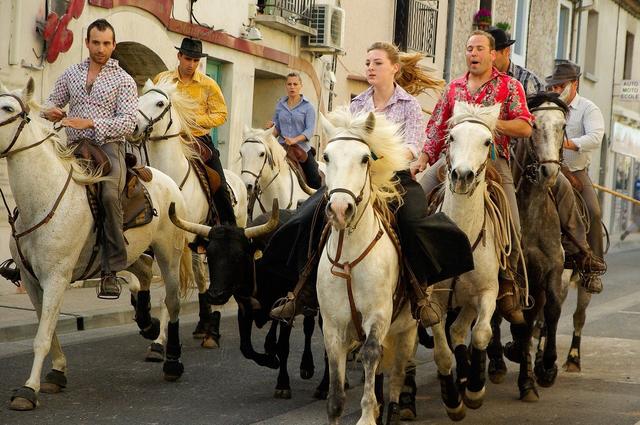 Camargue National Park in Frankrijk