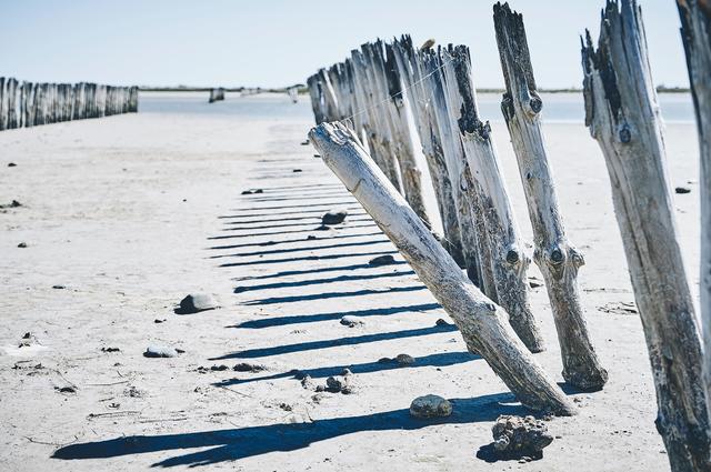 Camargue National Park in Frankrijk