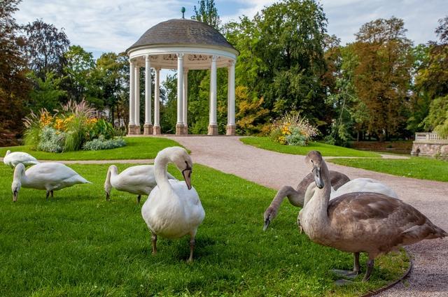 Philippe de Rexel © Copyright - OT Strasbourg Een picknick in de Orangerie Straatsburg