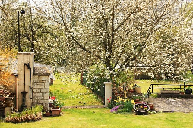 Aaron Perkins / Flickr / CC-BY 2.0 Giverny in de lente