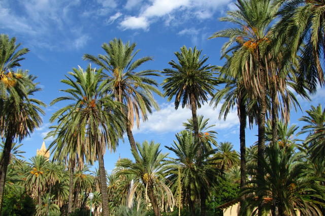 Foto: Magister_Ludi / Wikimedia Commons / CC-BY-2.0 Openbaar park Villa Bonanno