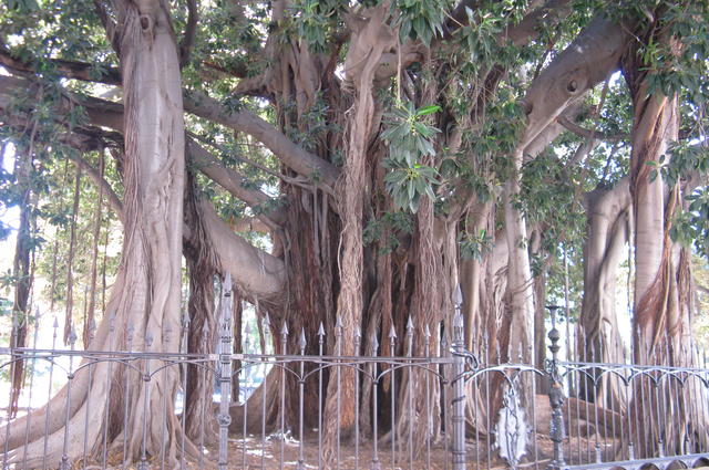 Foto: Margherito1 / Wikimedia Commons / CC-BY-SA-4.0 Piazza Marina