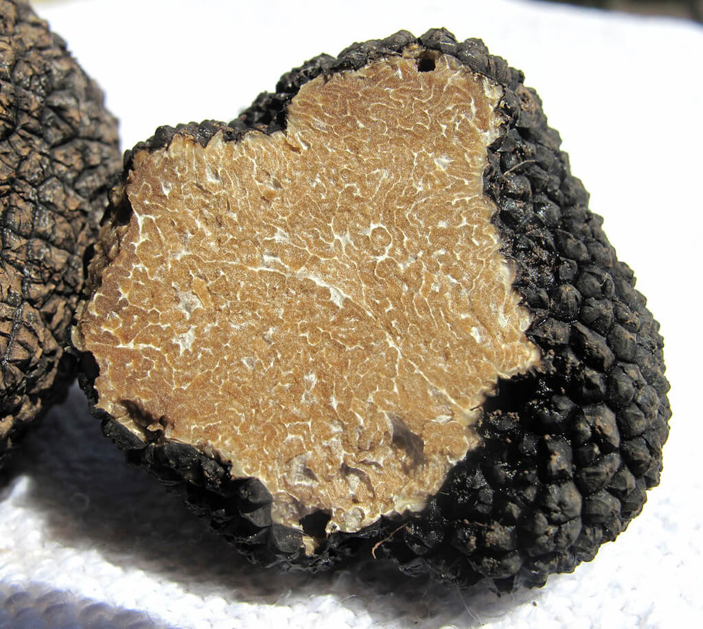 Franse truffels