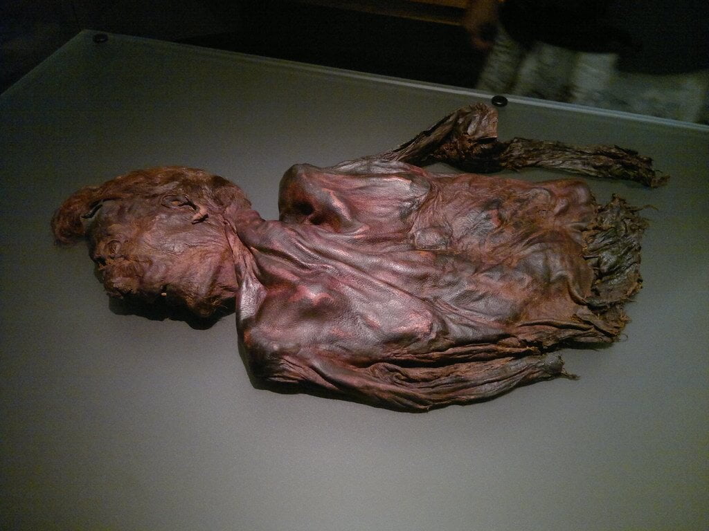 De mummie van de Clonycavan man