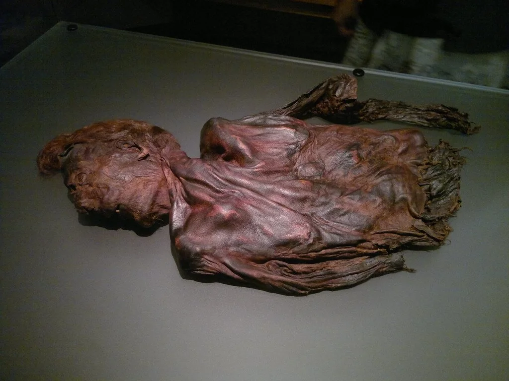 De mummie van de Clonycavan man