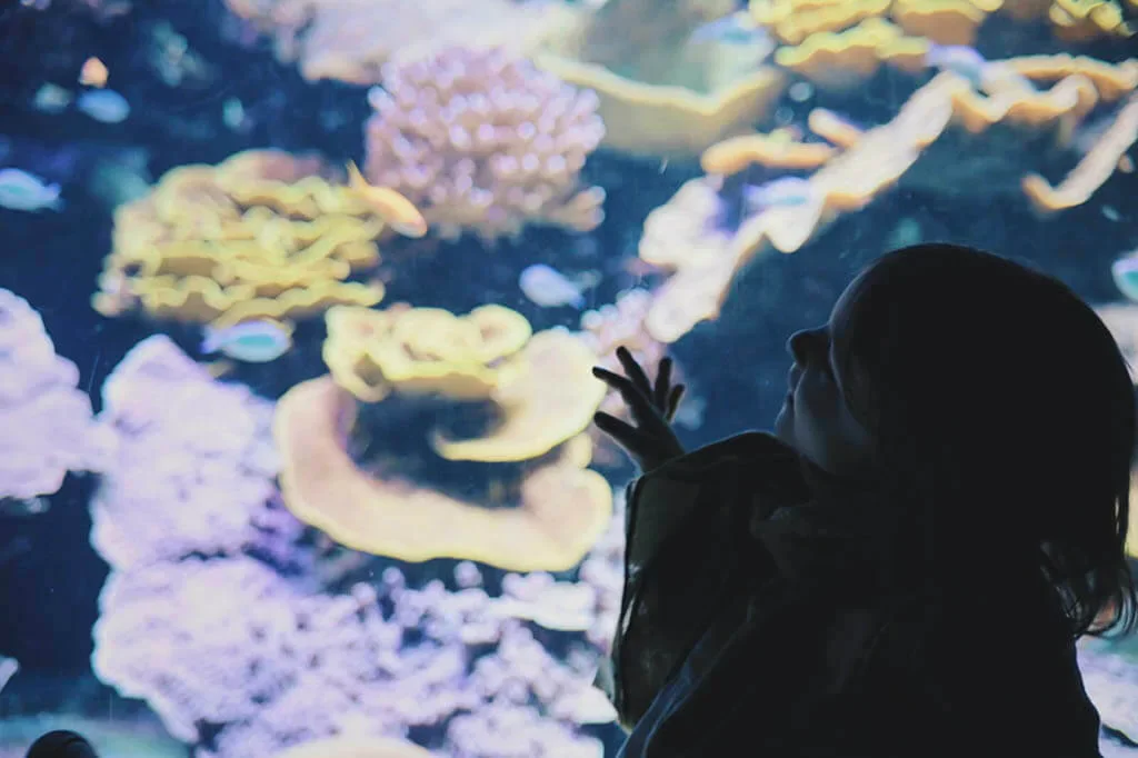 Oceanografisch Museum van Monaco