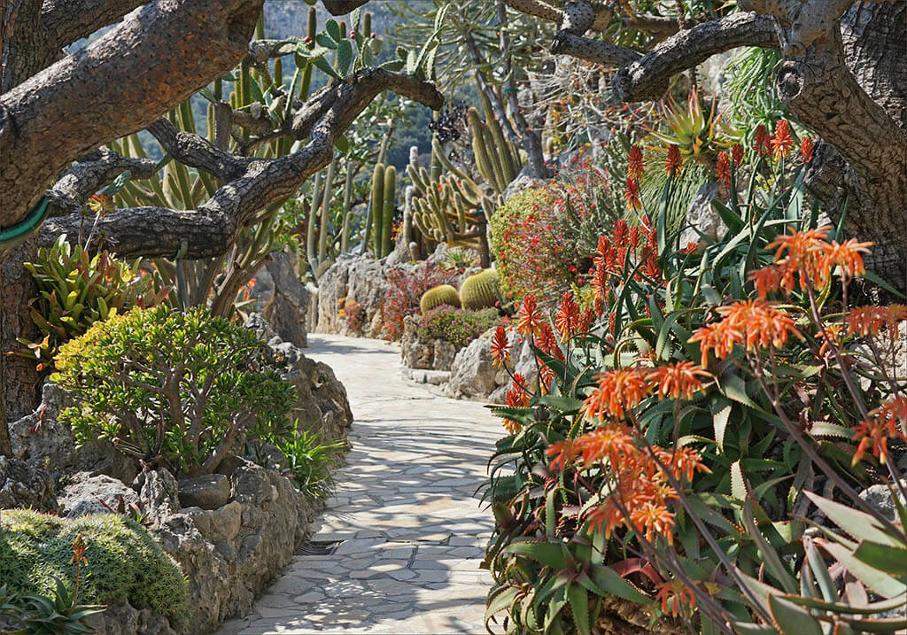 De Exotische Tuin van Monaco