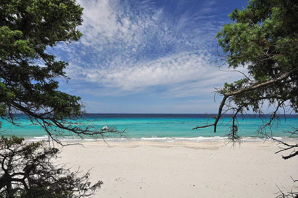 Beste stranden in Corsica: Saleccia Beste stranden in Corsica: Saleccia