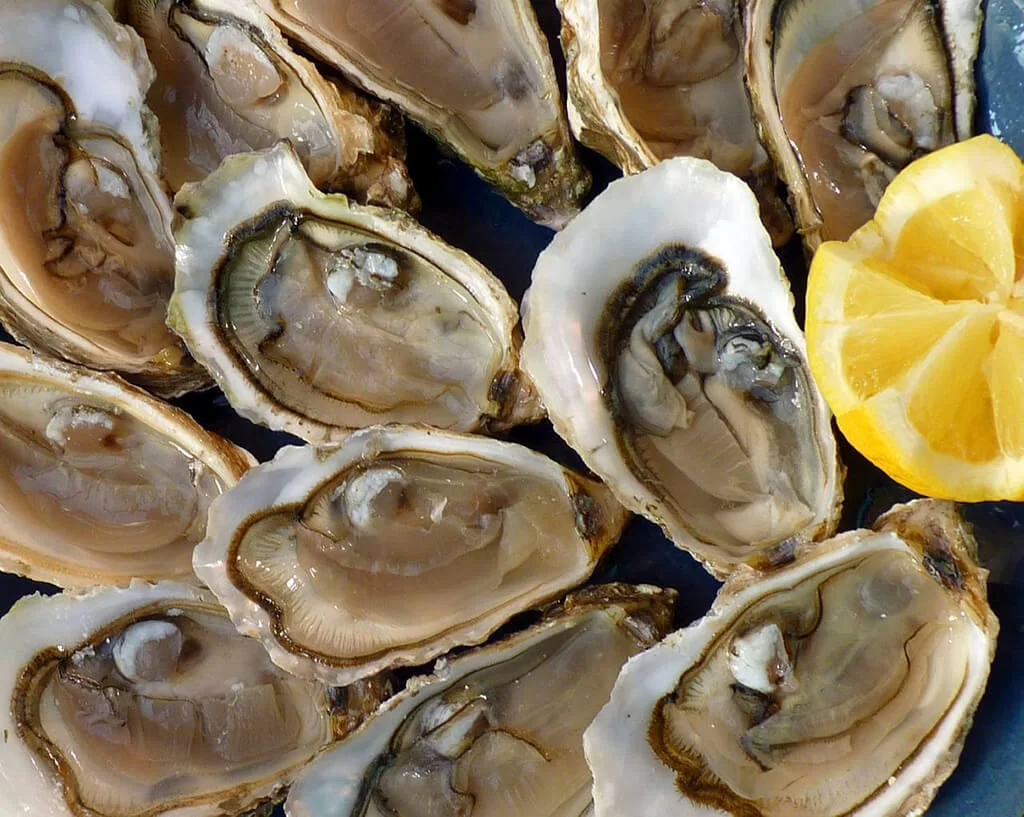 Oesters