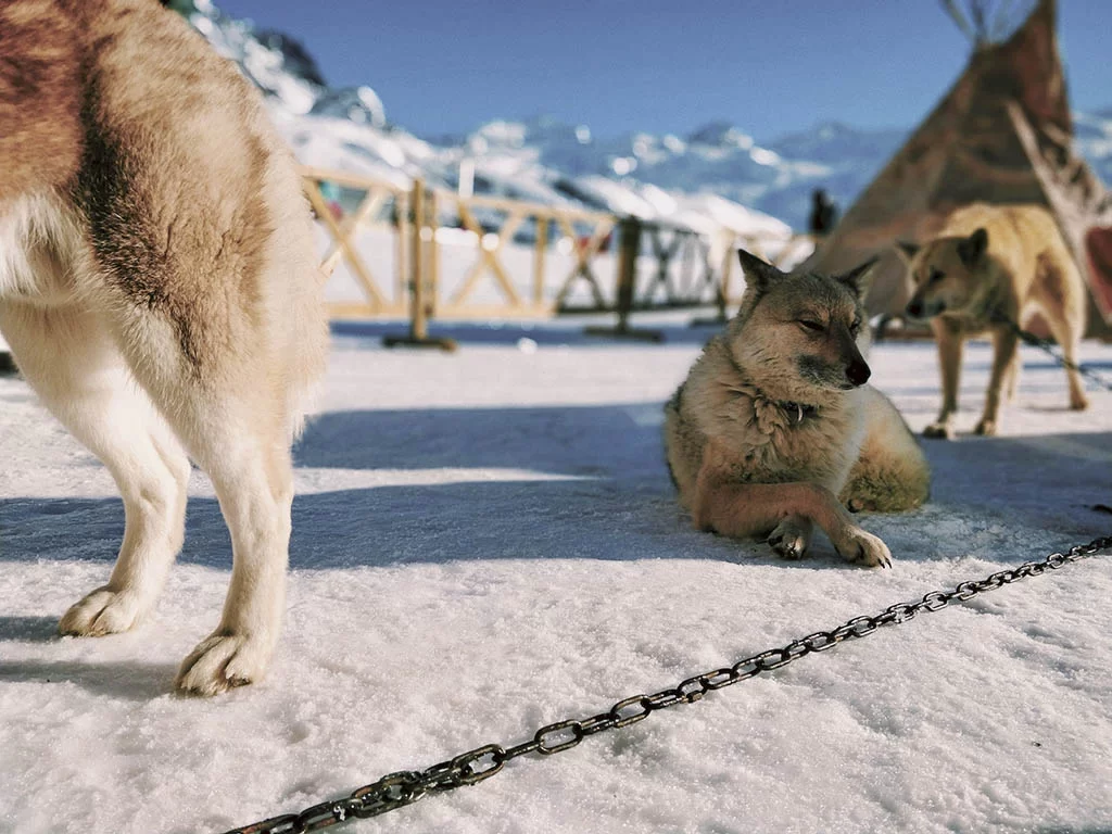 Val Thorens in de Alpen