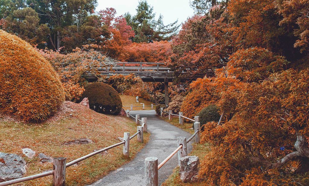 Japanese tea garden San Francisco met kinderen: Japanese tea garden