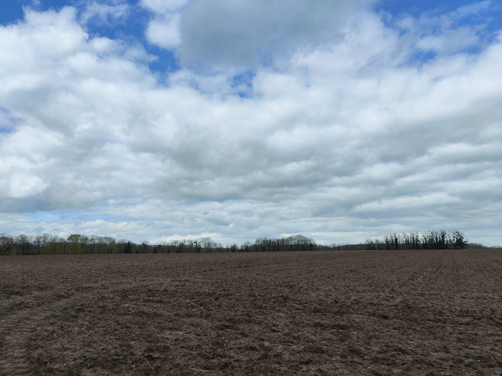 Het veld op het plateau boven Auvers-sur-Oise